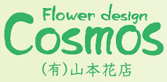 cosmos